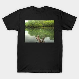 Reflections of Booragul T-Shirt